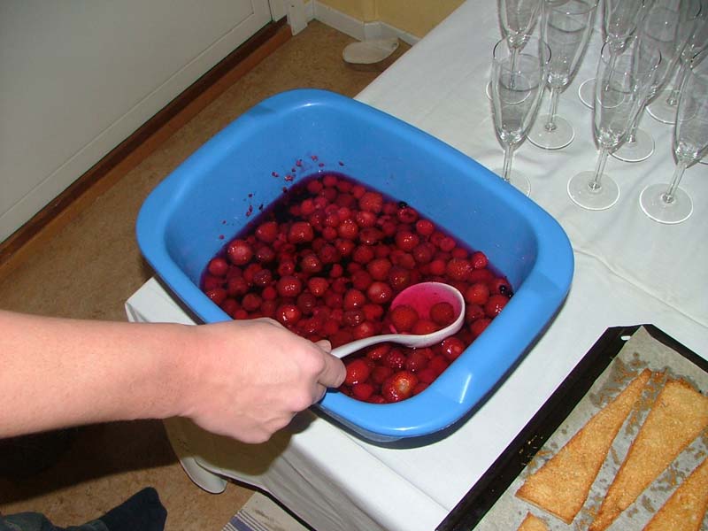 Nyårsfest hos D&J 2004