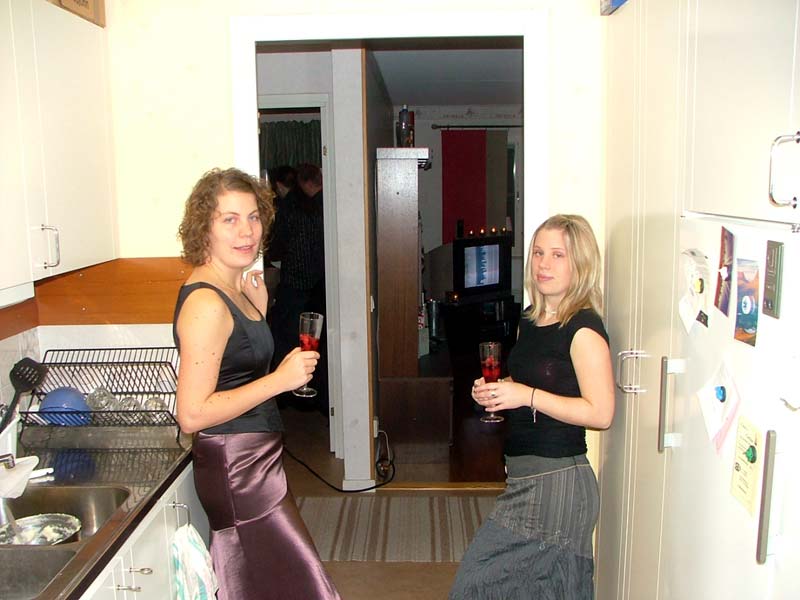 Nyårsfest hos D&J 2004