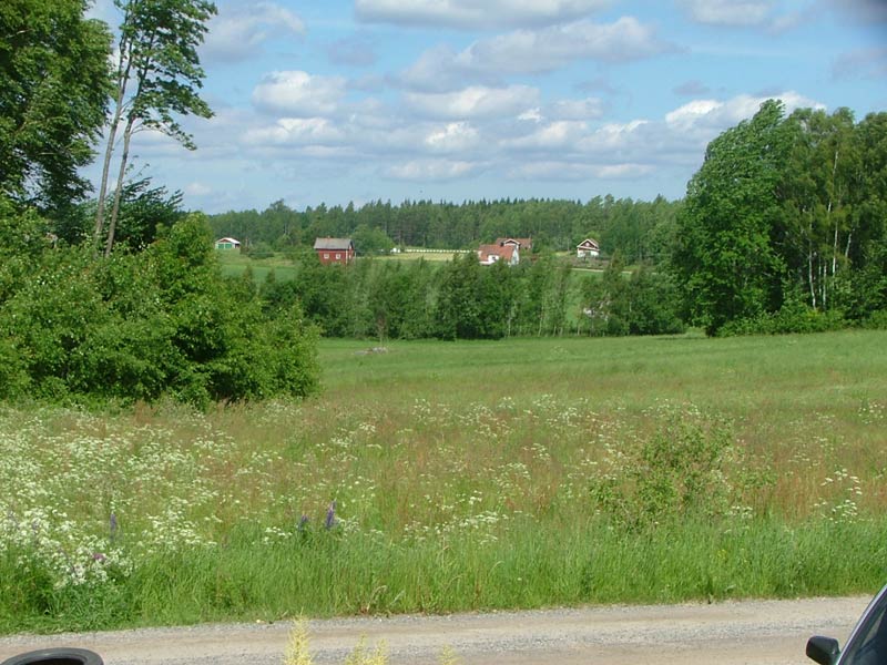 Midsommar i Jönsberg