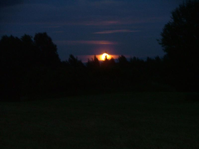 Midsommar i Jönsberg