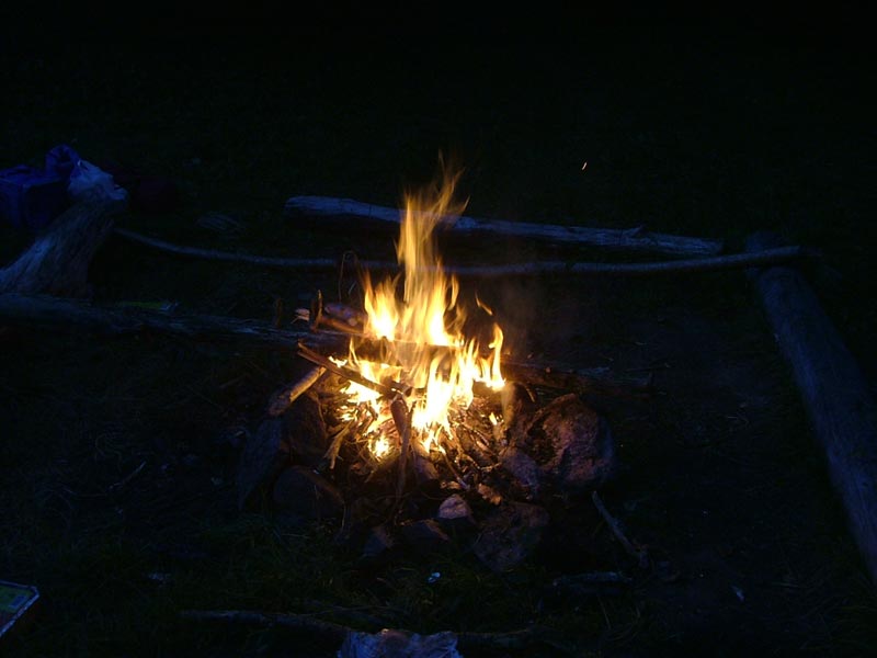 Grillning