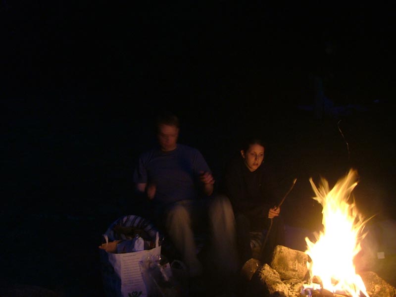 Grillning