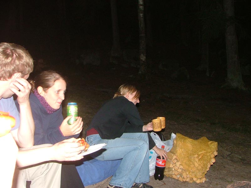 Grillning