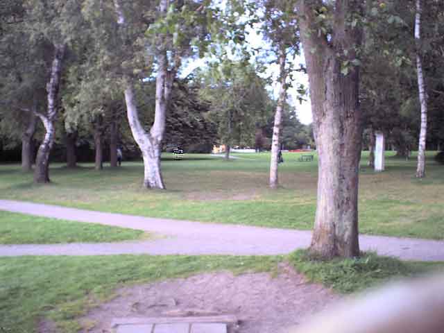 Discgolf