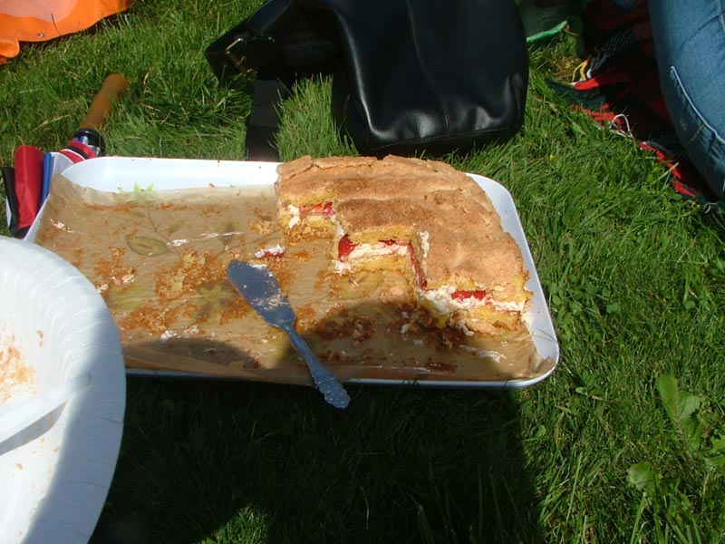 Midsommar i Jönsberg