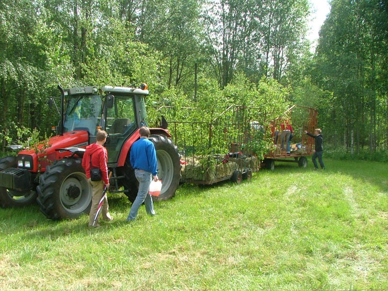 Midsommar i Jönsberg