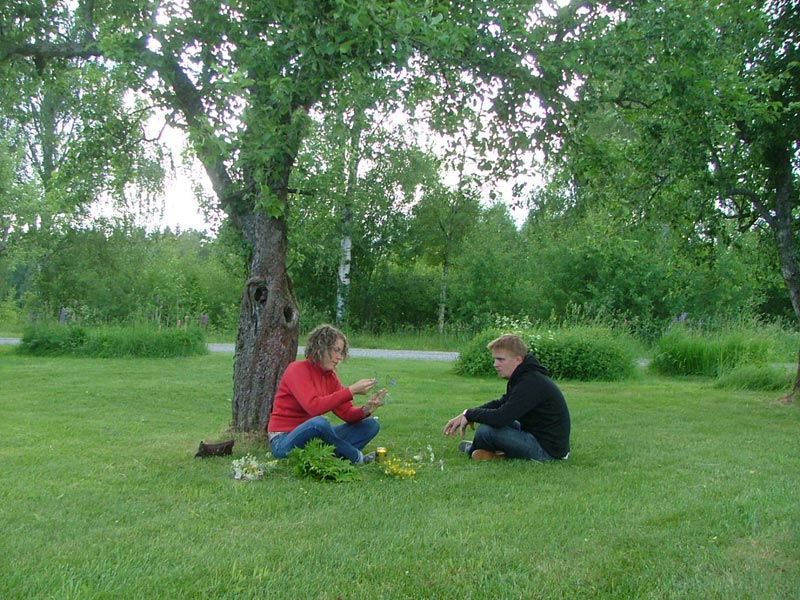 Midsommar i Jönsberg