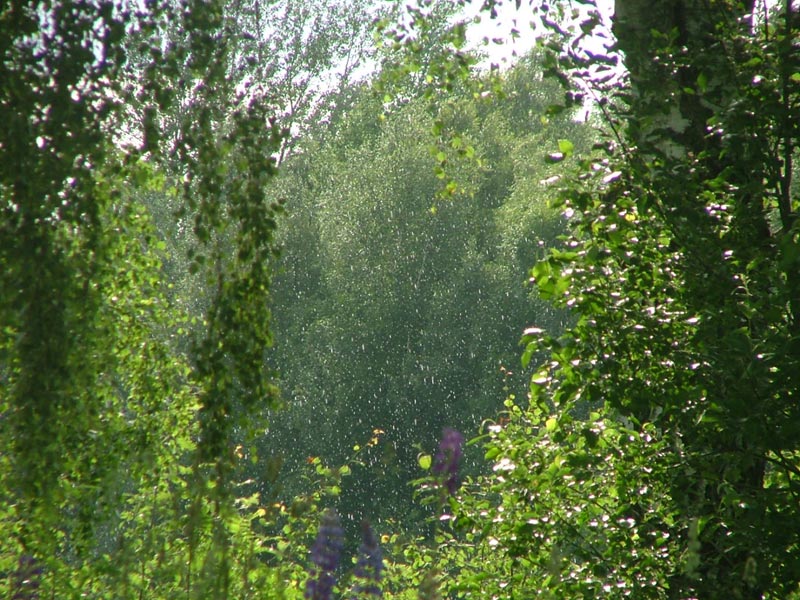 Midsommar i Jönsberg