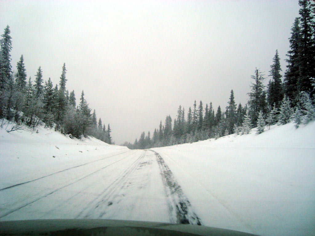 Fjällen 2009