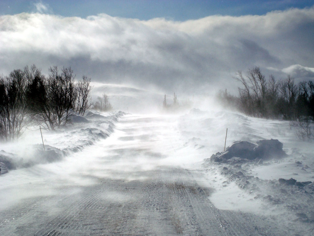 Fjällen 2009