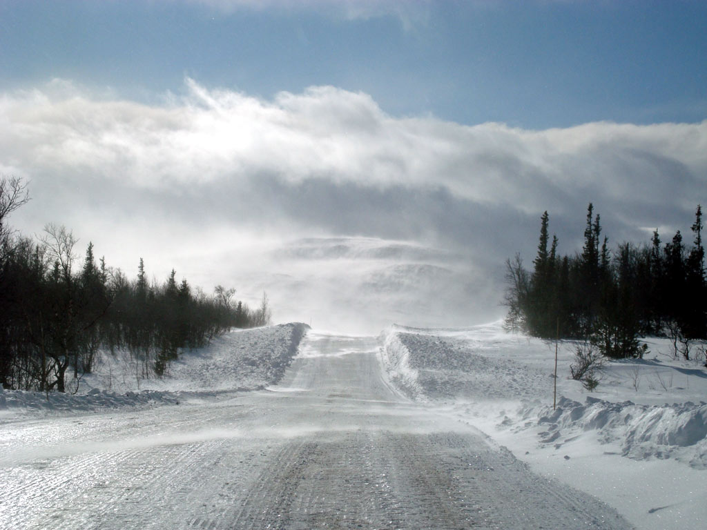 Fjällen 2009