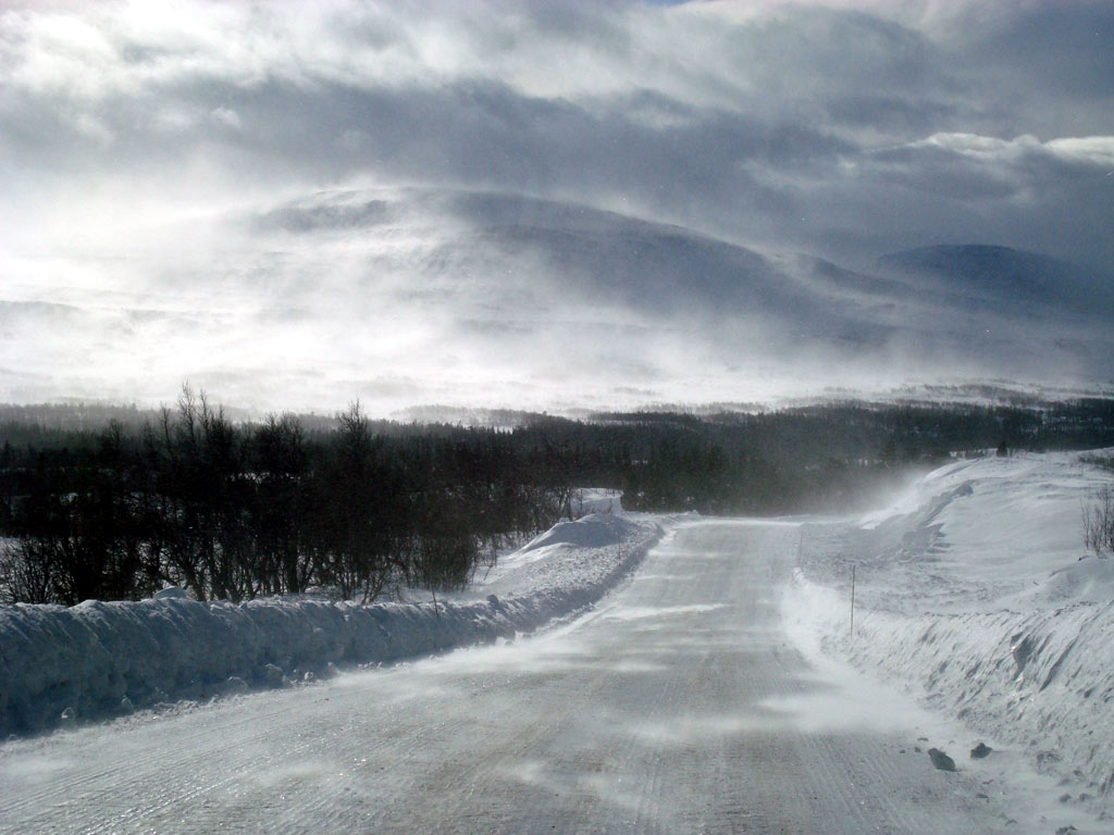 Fjällen 2009