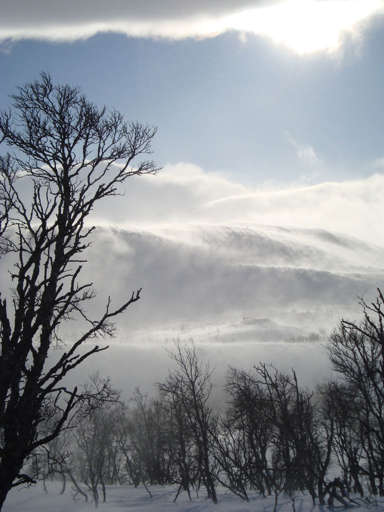 Fjällen 2009