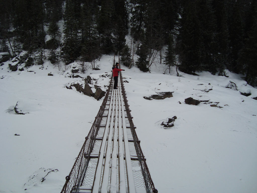 Fjällen 2009