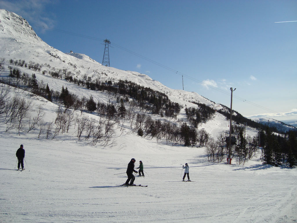 Fjällen 2009