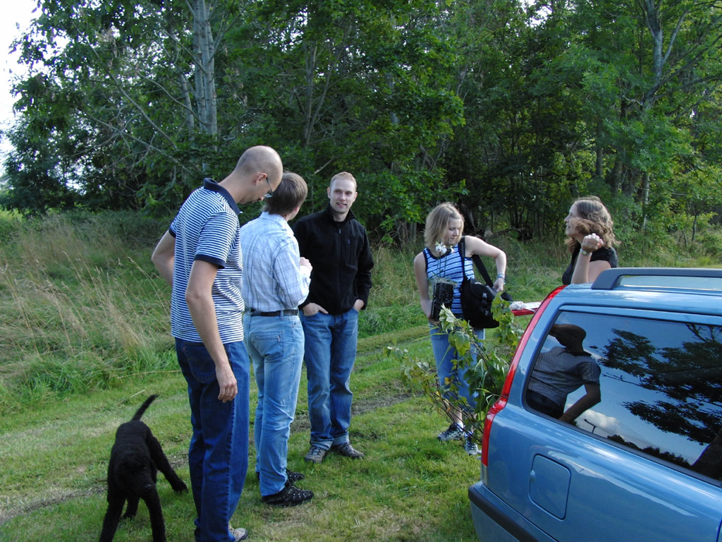 Hannas 30-årsfest