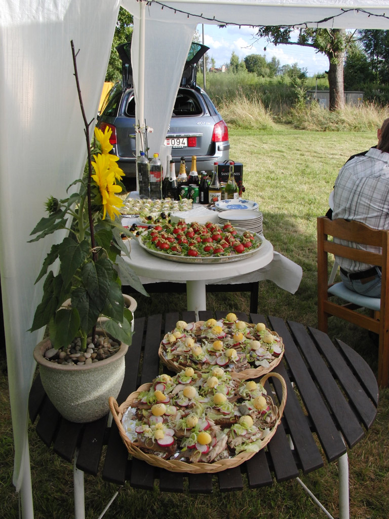 Hannas 30-årsfest