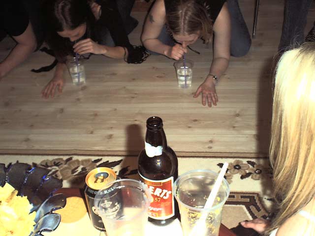 Hanna & Alex fest