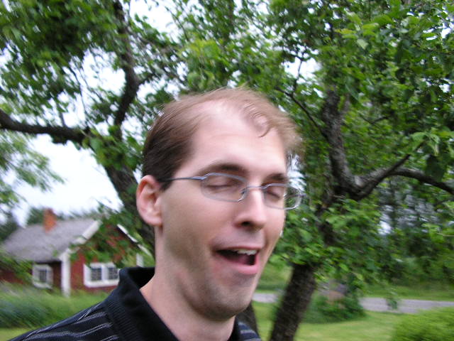 Midsommar (Hannas bilder)