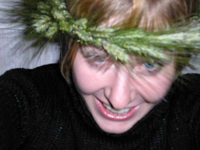 Midsommar (Hannas bilder)