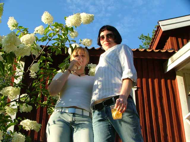 Magnus och Wahlles födelsedagsfest