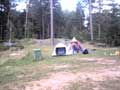 Midsommarfest