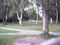 Discgolf