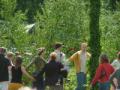 Midsommar i Jönsberg