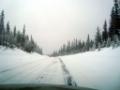 Fjällen 2009