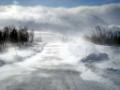 Fjällen 2009