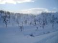 Fjällen 2009