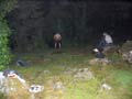 Spontanfest (Wahlle och Hannas bilder)