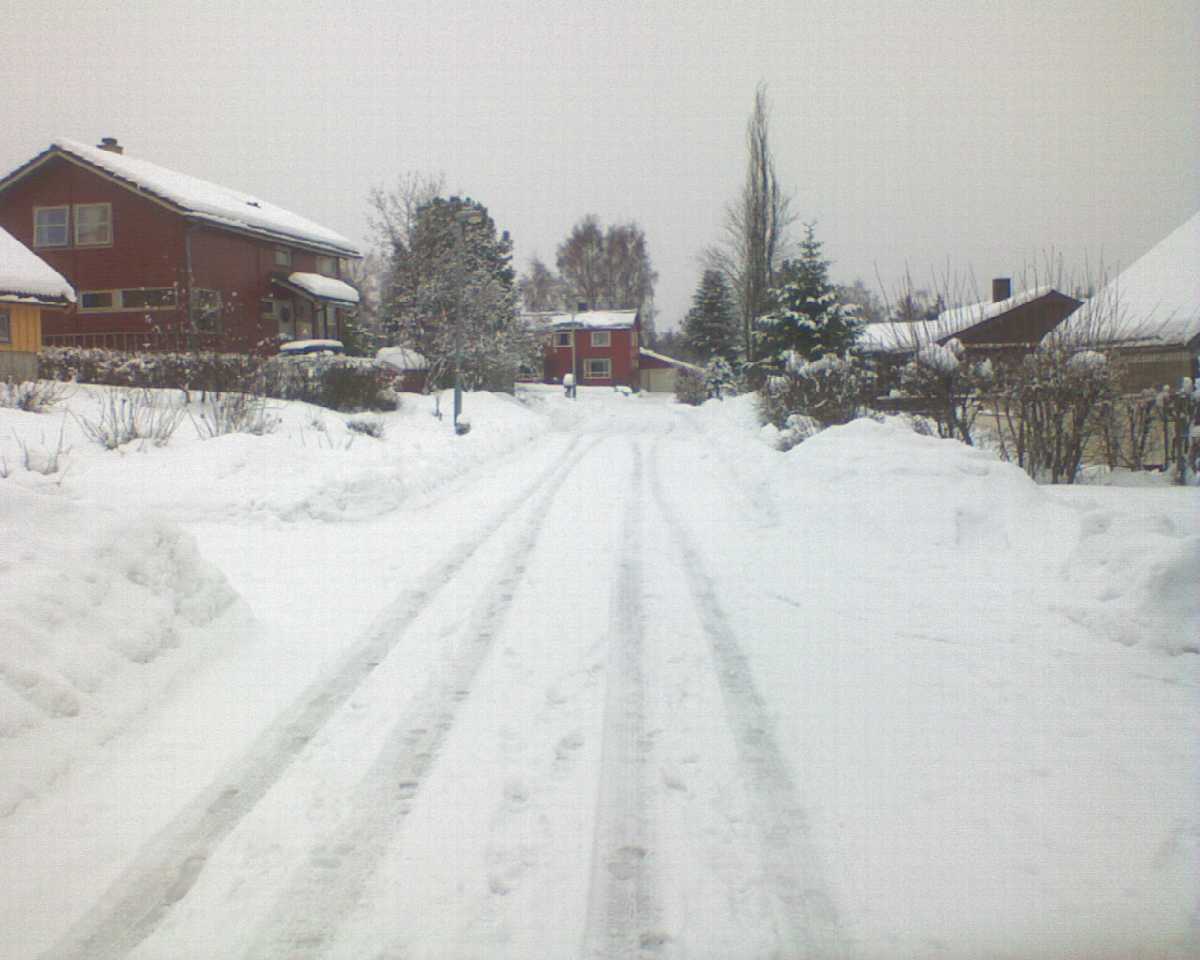 wahlle