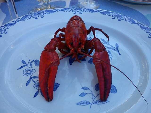Davve